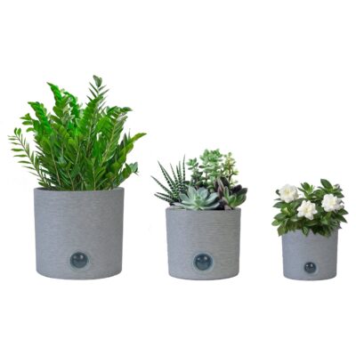 Self-Watering Pots