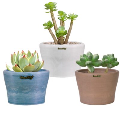  Planters for Indoor
