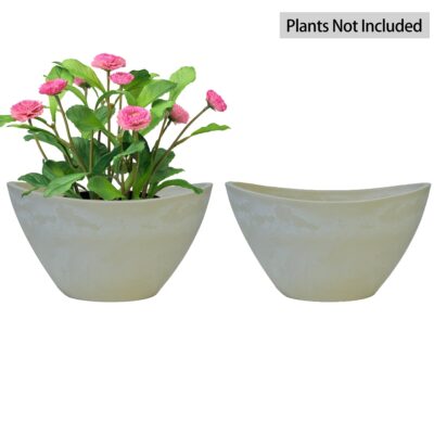 Indoor Plants