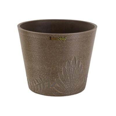 Planter for Indoor