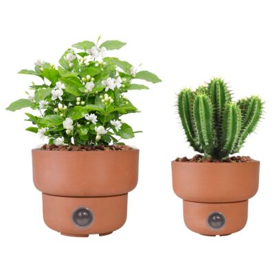 Self-Watering Plant Pots