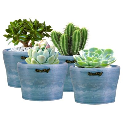 Planters for Indoor