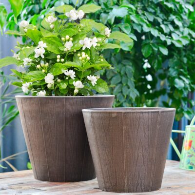 Decorative Pots
