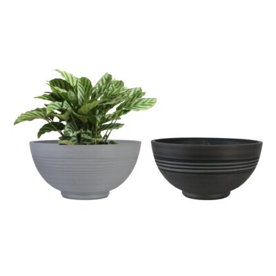 Bowl Shape Flower Pots