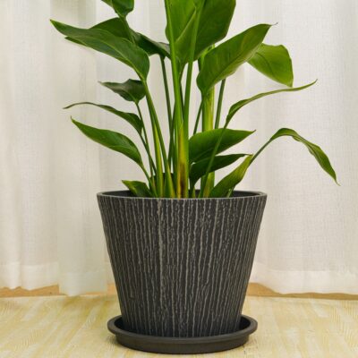 Planter for Indoor