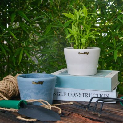 Planters for Outdoor