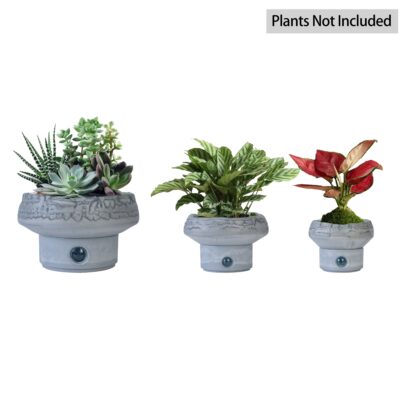 Self-Watering Plant Pots
