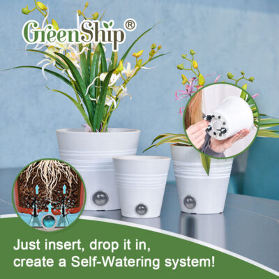  Indoor Planters