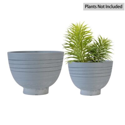 Outdoor Plants