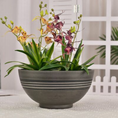  Plant Pots 