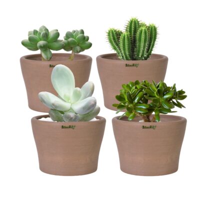 Modern Plant Pots