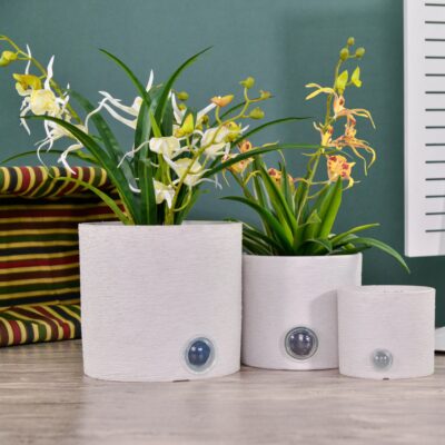 Self-Watering Plant Pots