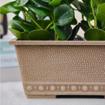 Window Box Planter for Indoor