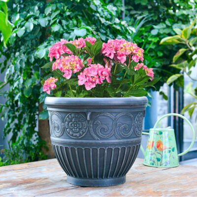 Planter for Indoor