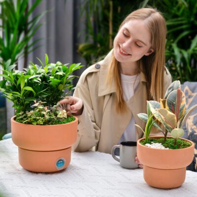 Modern Decorative Flower Pots