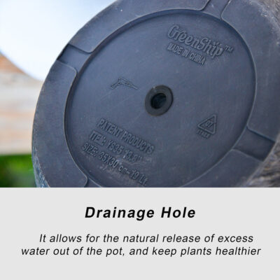 Plant Pots with Drainage Hole