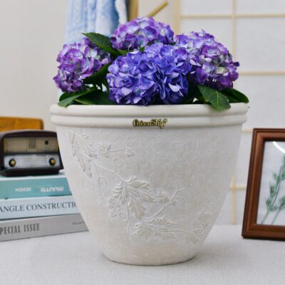 Modern Plant Pots for Indoor