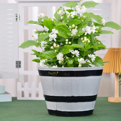 Large Planter for Indoor Large Planter for Indoor