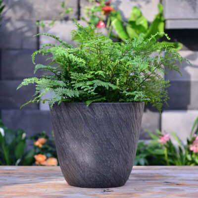 Planter for Indoor Planter for Indoor