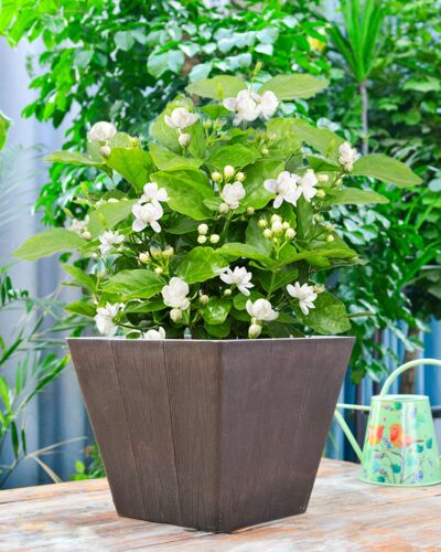 Planter for Outdoor Planter for Outdoor