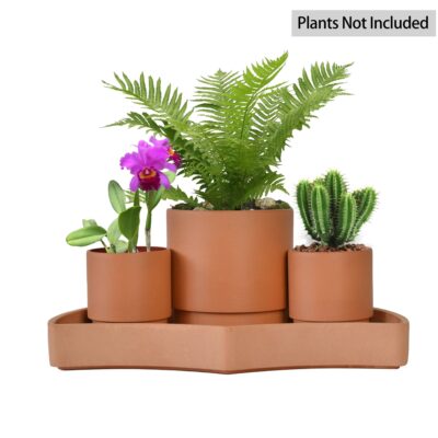 Self-Watering Plant Pots