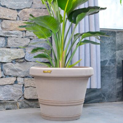 Plant Pots for Outdoor Plant Pots for Outdoor