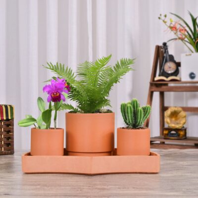 Modern Decorative Flower Pots