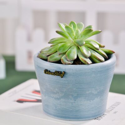 Home Office Decorative Flower Pots Home Office Decorative Flower Pots