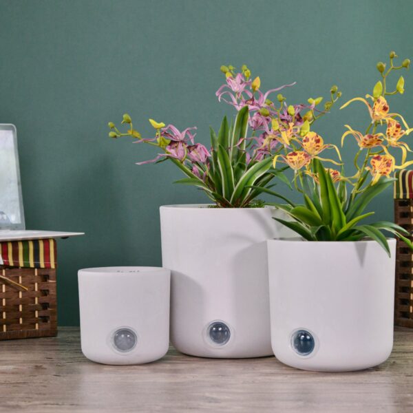 Self-Watering Pots