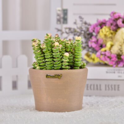 Modern Plant Pots Modern Plant Pots