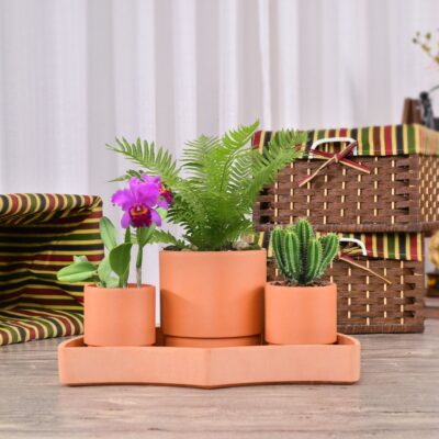  Indoor Planters