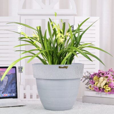 Modern Decorative Plant Pots