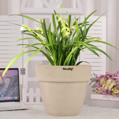 Indoor Planters