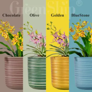 Decorative Flower Pots Decorative Flower Pots