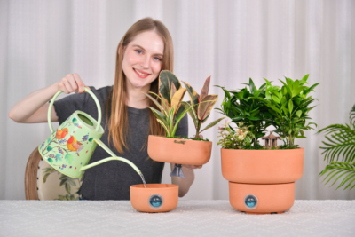 Indoor Planters