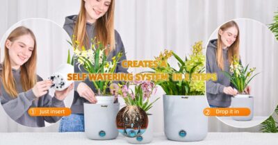 Self-Watering Spikes