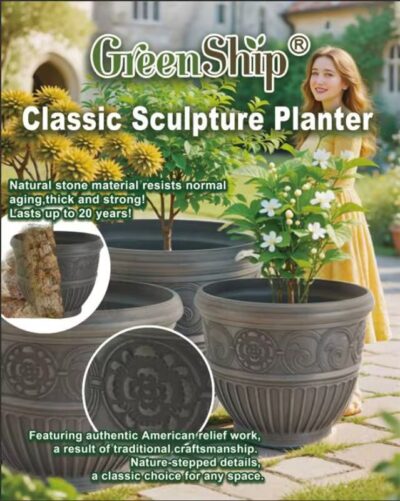 Round Rim Planter Round Rim Planter