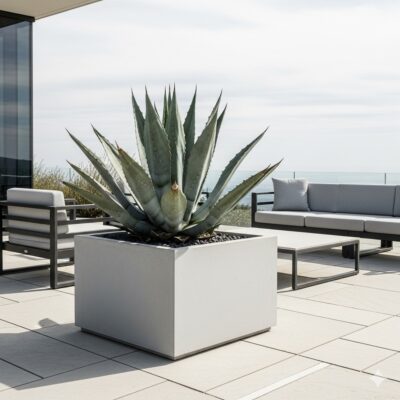 Planter