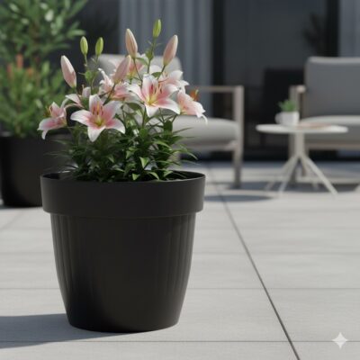 Lily pot