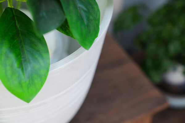 Plant Pot Plant Pot