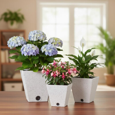 Self-Watering Pot Self-Watering Pot