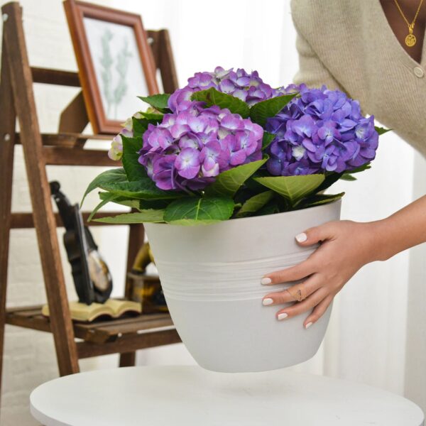 Perfect Plant Pot