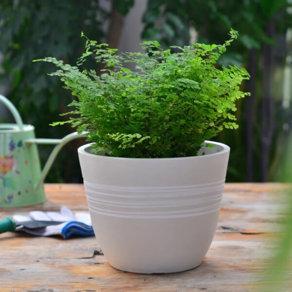 Perfect Plant Pot
