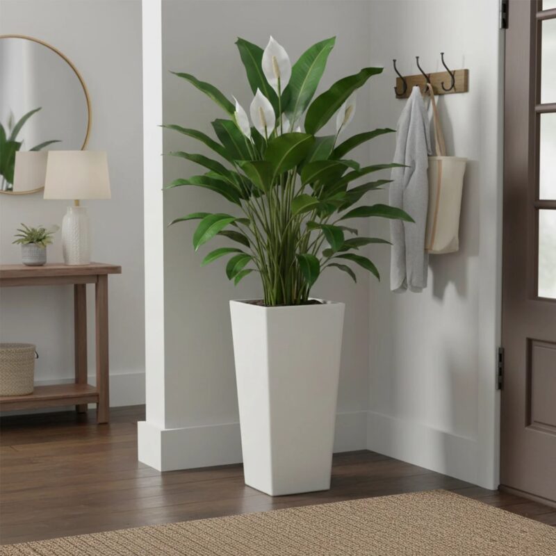 Tall Planters
