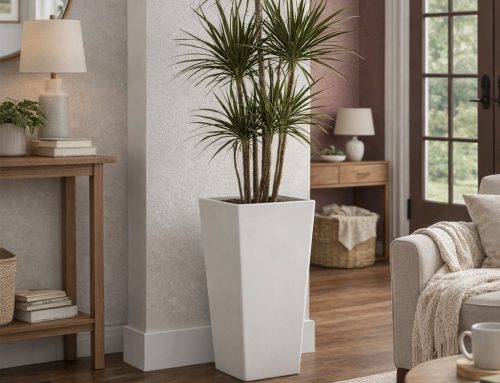 Indoor vs Outdoor Planters: Key Differences