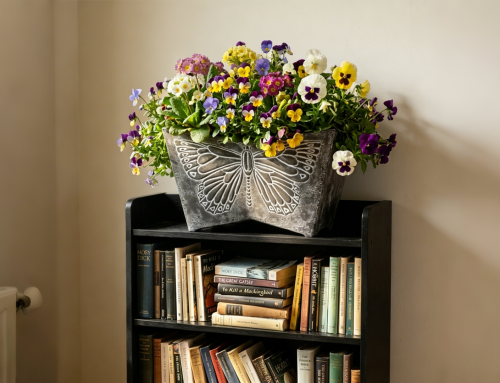 Why This Planter Is Perfect for the Spring Growing Season