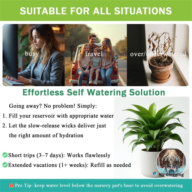 GreenShip Self Watering Spikes