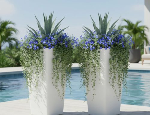 Large Planter Inspiration for Your Front Door and Porch