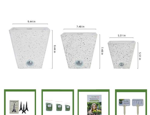 Self Watering Planters for a Fresh Spring and Summer Home Update