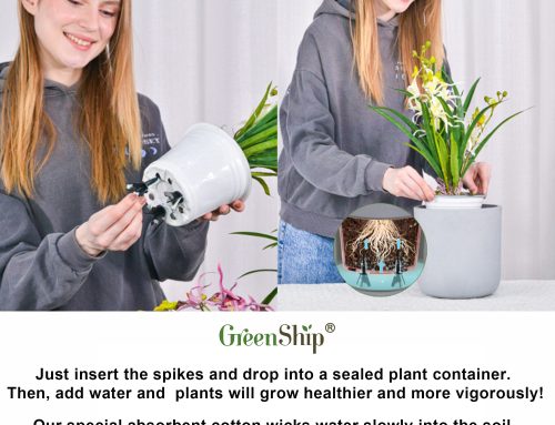 Plant Watering Spikes for Indoor and Outdoor Plant Care